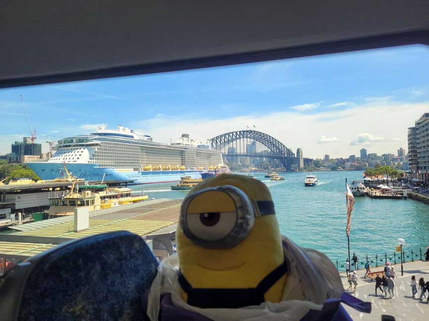 Stuart with Harbour Bridge and cruise ship