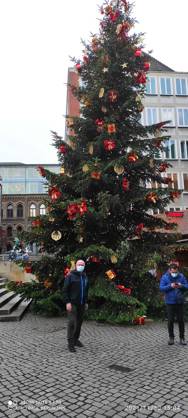 Imponente árbol de Navidad