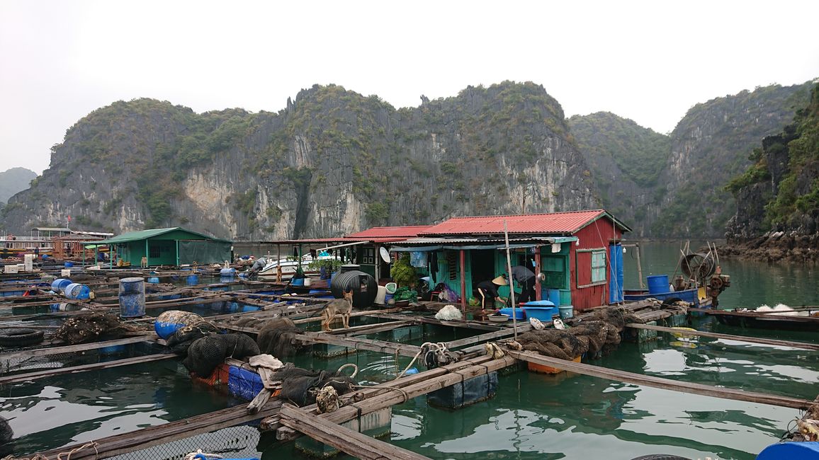 Cat Ba, fishing village