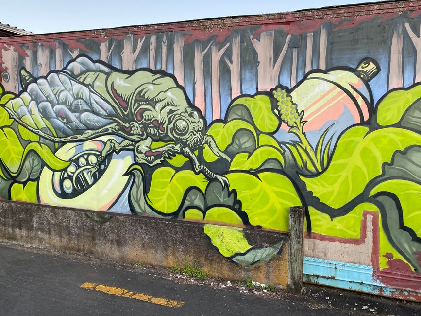 Street Art in Taupō