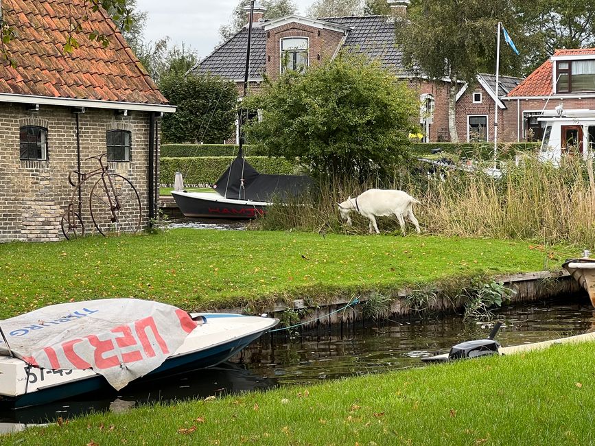 Friesland (NL) | Terherne Sneekermeer