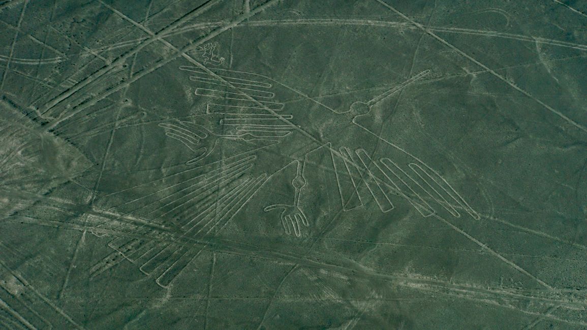 Nazca figure “the tree” in size comparison (one of the smaller figures)