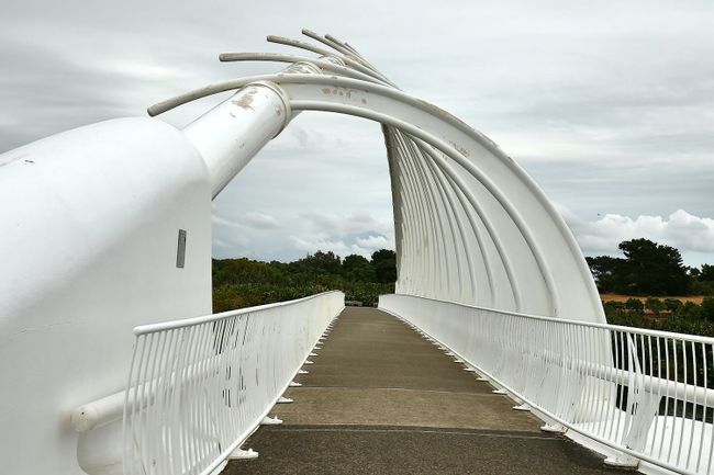 Te Rewa Rewa Bridge New Plymouth
