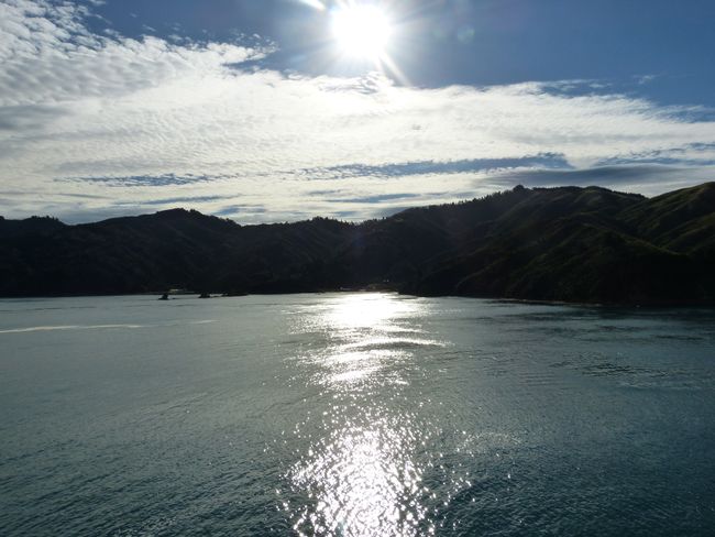 14. Day trip to Picton for ferry crossings to Wellington
