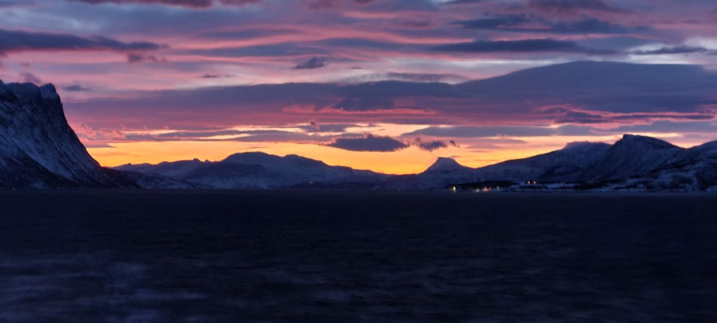 Hurtigruten Richard With
27th December 2022