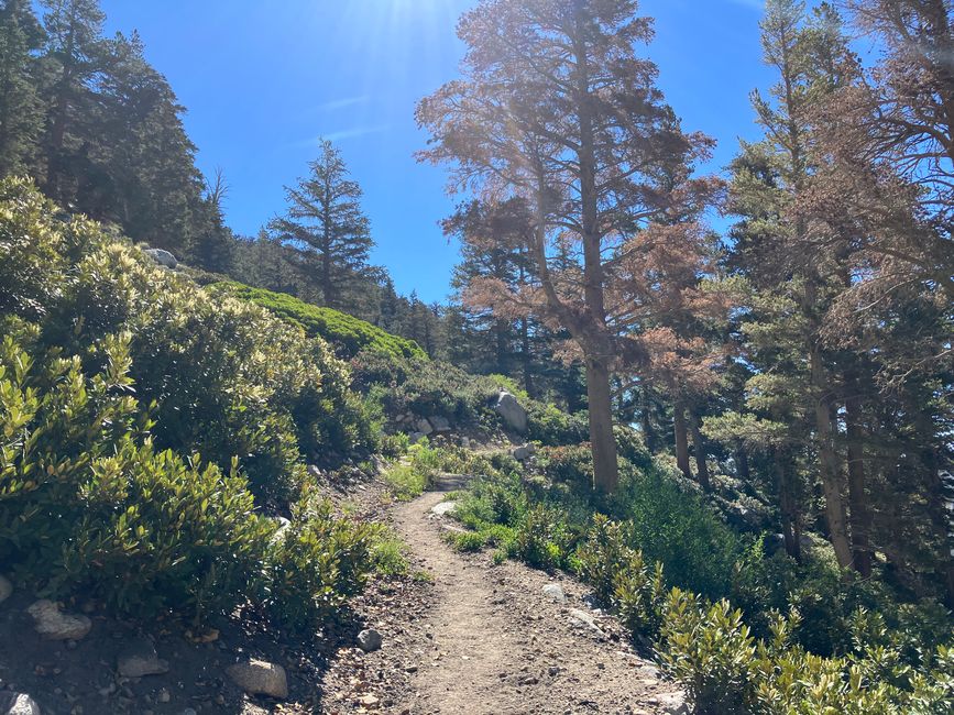 High Sierra Trail Day 3