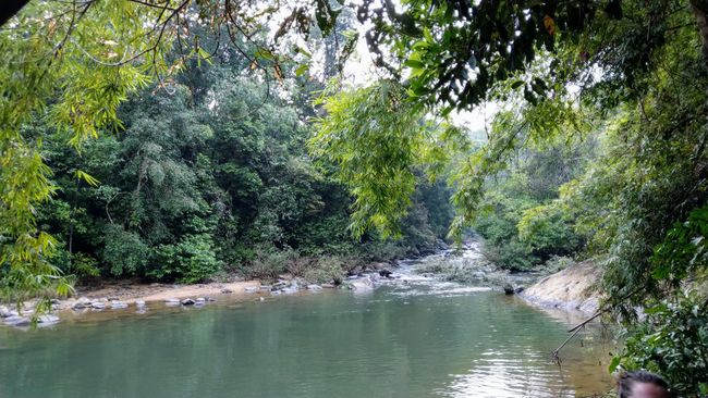 12. bis 13.12. Willkommen im Khao Sok Nationalpark