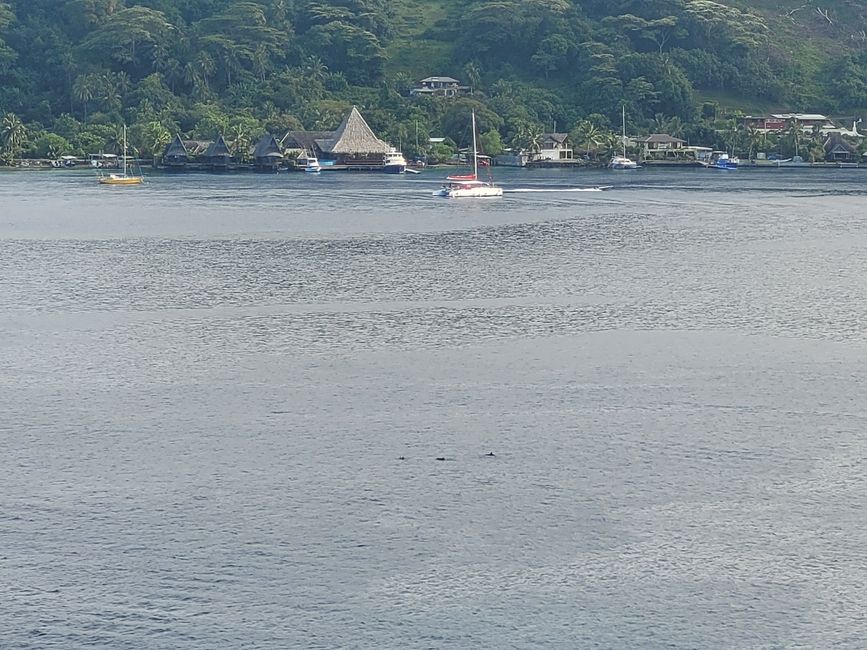 French Polynesien