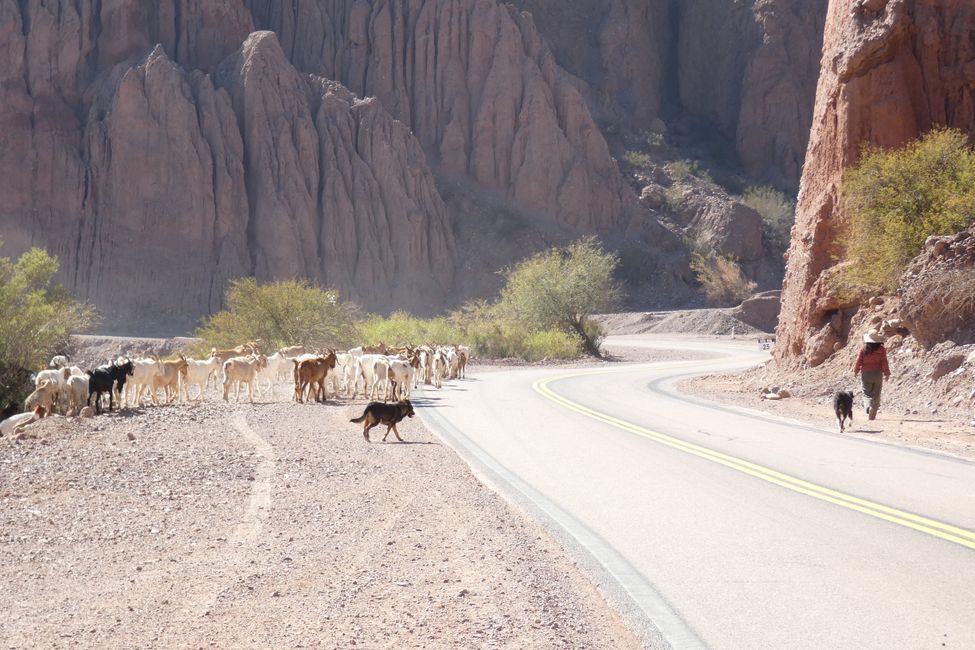 Cafayate