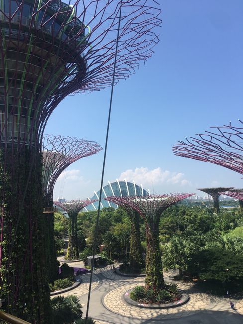 Walkway Gardens by the Bay