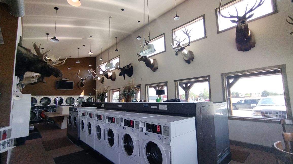 Laundromat with special equipment