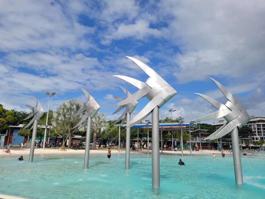 Cairns promenade pool - croc free