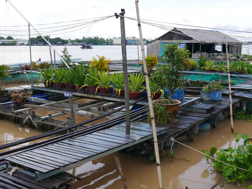 Floating Market and Fisher Island in the Mekong Delta