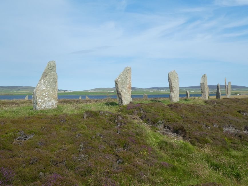 Kirkwall, Orkney Islands - Capital, Stone Circles and Skara Brae Stone Age Village (with AIDAaura to Greenland and Iceland 14)