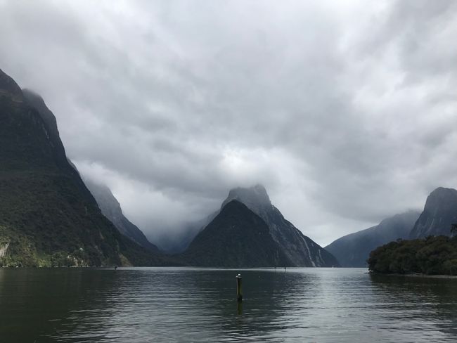 The Milford Sounds