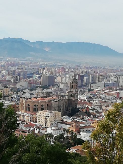Andalusien 2019/2020, Málaga