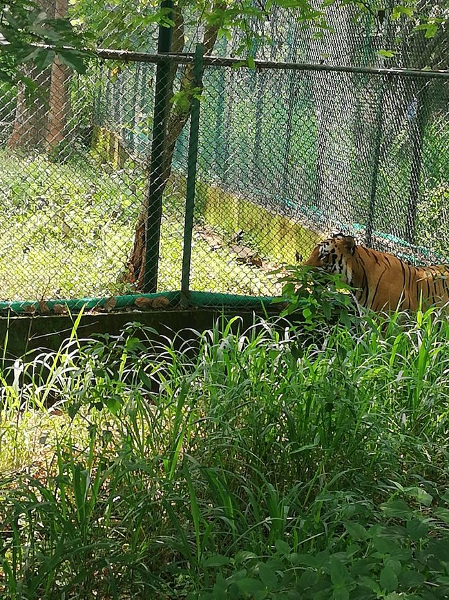 Banaghata Zoo a Safari