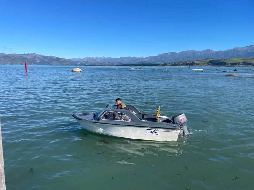 In Arrowtown with Jörg and fishing in Kaikoura