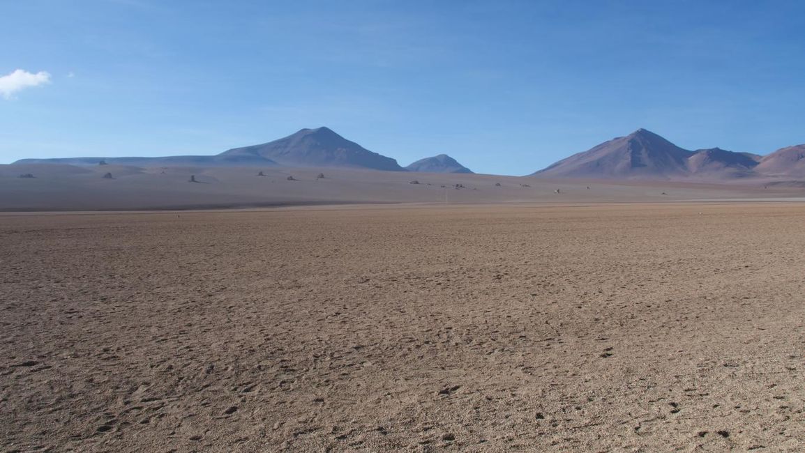 Salvador Dali Desert
