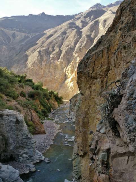 Colca Canyon 14 - Valley