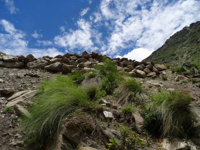Nepal: ... up to the Himalayas: Trekking in the Langtang National Park