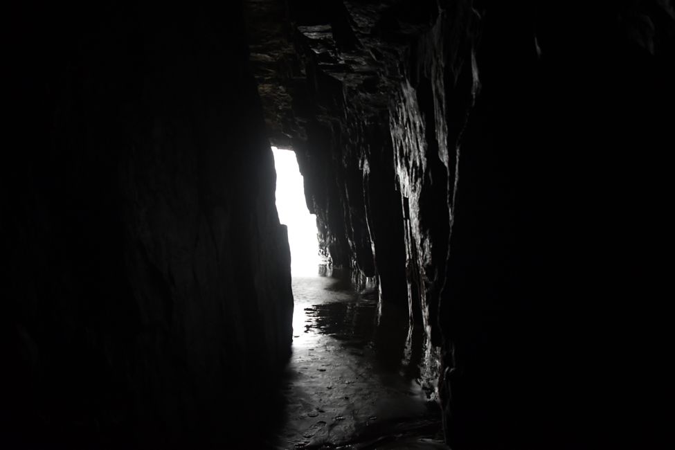 Catlins - Cathedral Caves