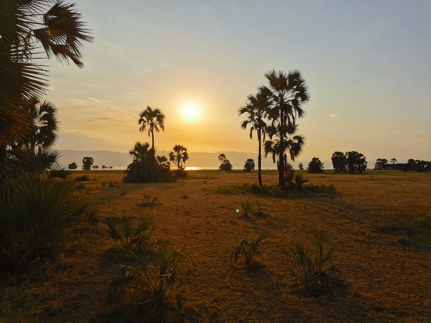 AFRIKA- La MOSCA pica, el ARROZ está listo, MALARIA.