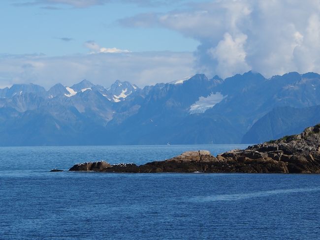 Kenai Fjords National Park - Bootstour mit grandiosen Ausblicken