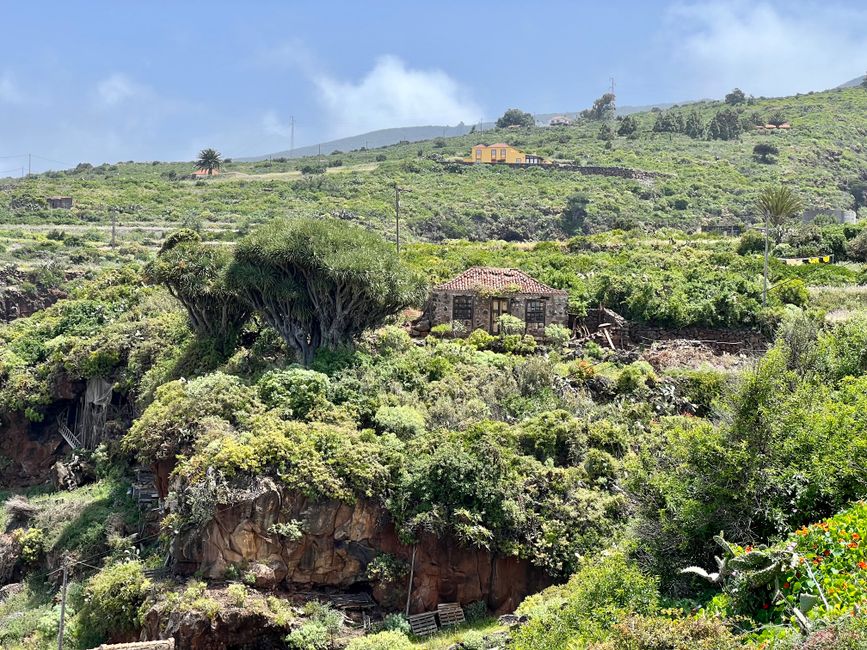 Excursión al norte