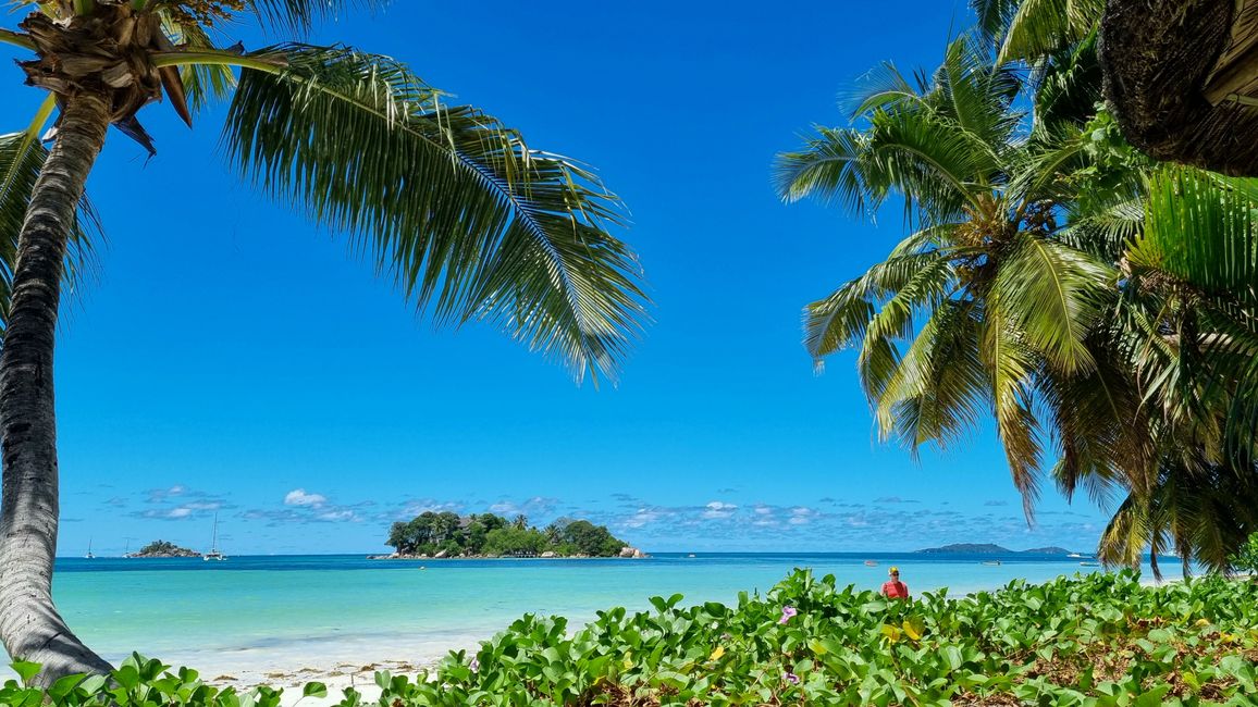 Seychelles 2023 - Part 2: Praslin