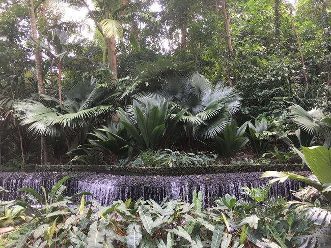 Singapore Botanic Gardens, Orchard Road, Little India
