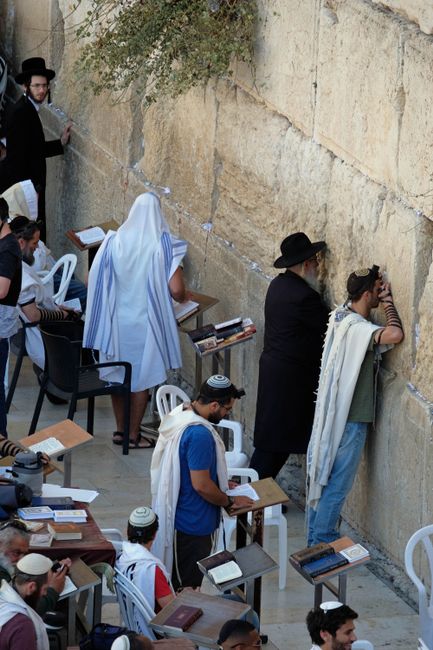 In Jerusalem beten junge und alte Juden miteinander an der Klagemauer