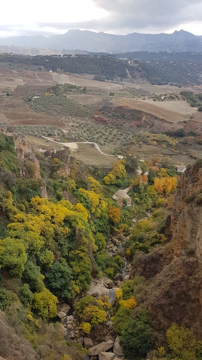 Herbstliche Landschaft auch in Südeuropa