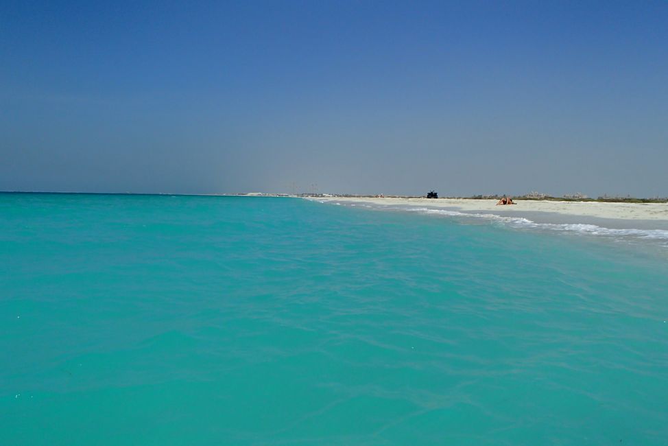 Tag 8 (2015) Abu Dhabi: Saadiyat Beach - ein Traum in türkis