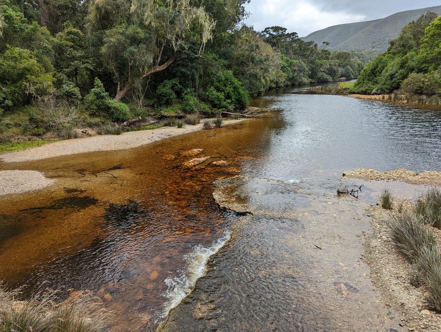 Tsitsikamma National Park