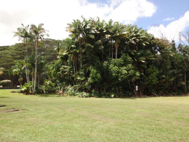 Highway Nr. 19 Hilo-Laupahoehoe, Big Island (Hawaii)