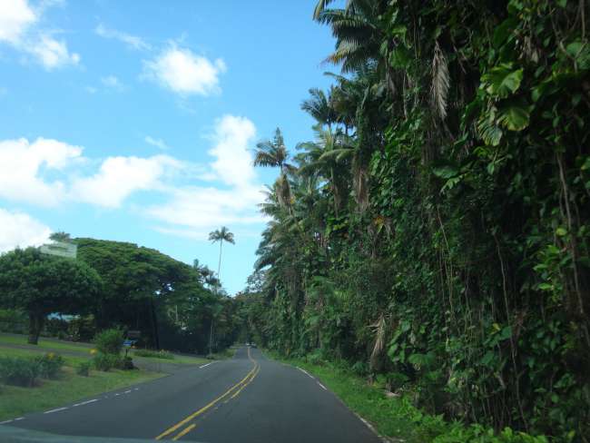 Highway Nr. 19 Hilo-Laupahoehoe, Big Island (Hawaii)