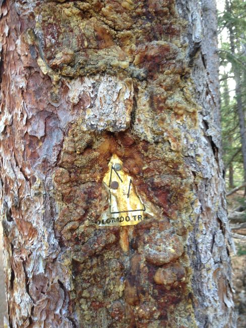 Randonnée Ouest : Colorado Trail