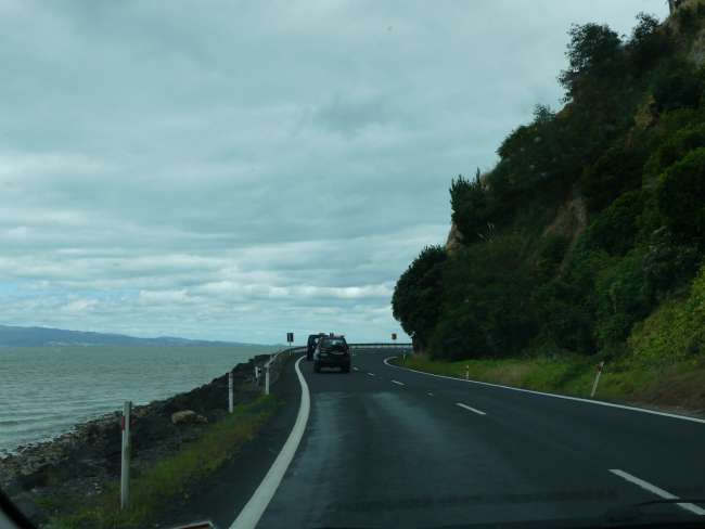 Road right along the coast from Thames to Coromandel