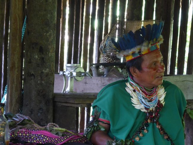 Cuyabeno - Der Amazonas fernab der Zivilisation