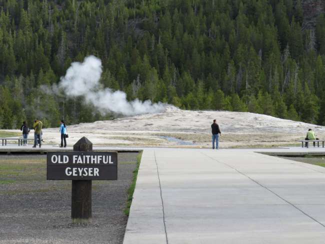 Day 7: Yellowstone NP, Upper Geyser Basin, Black Sand Basin, and Biscuit Basin
