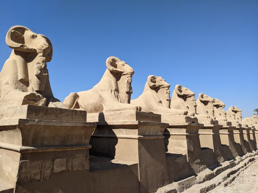 Sphinx with ram-headed (Amun Ra)