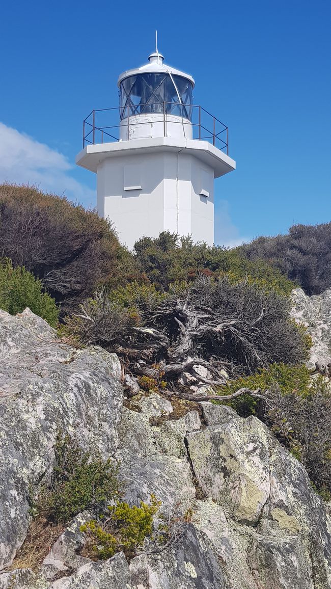 Leuchtturm am Rocky Cape