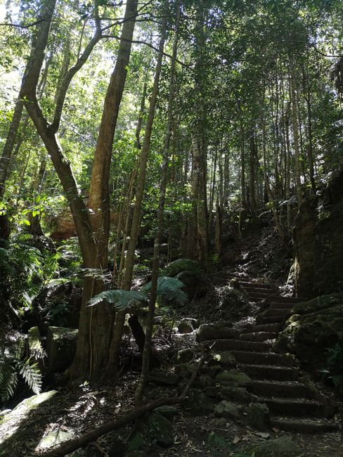 Anja, Sydney und die BlueMountains