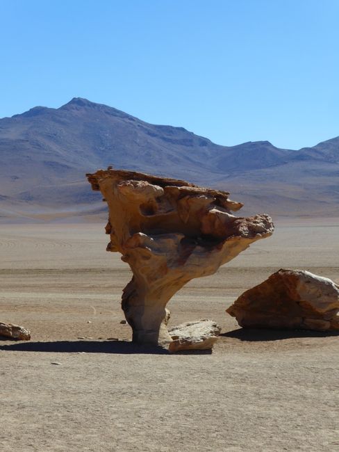 Uyuni & Atacama - Unglaubliche Weiten