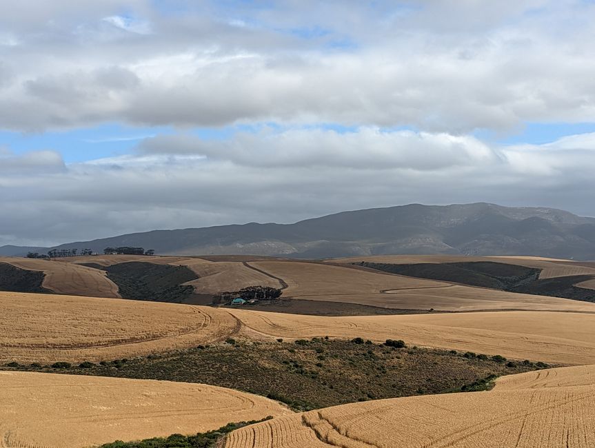 D'Oudtshoorn à Hermanus - avec un détour dans le 'Midwest'