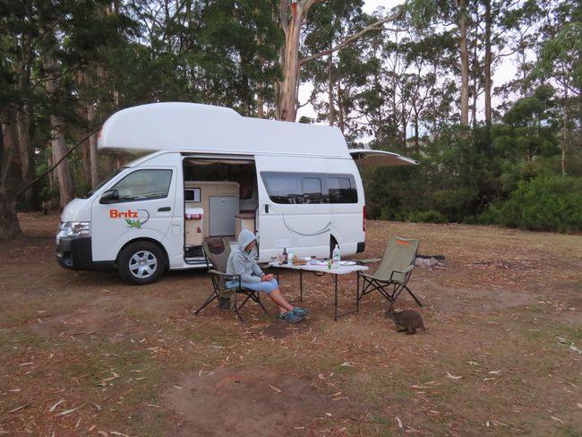 Our pitch at Port Arthur Holiday Park