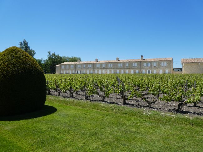 Route du Vin de Bordeaux (France part 8)