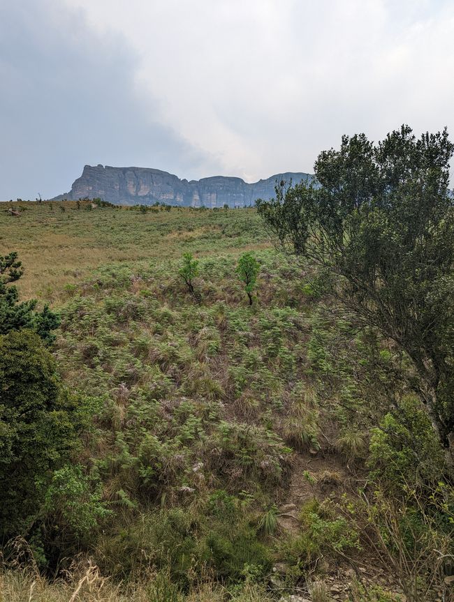 Royal Natal Drakensberg Park