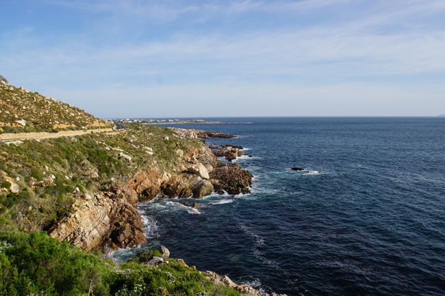 Whale sightings in Hermanus and penguins in Betty's Bay